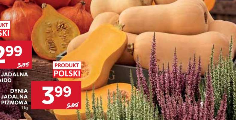 Dynia jadalna piżmowa