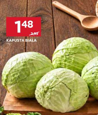 Kapusta biała