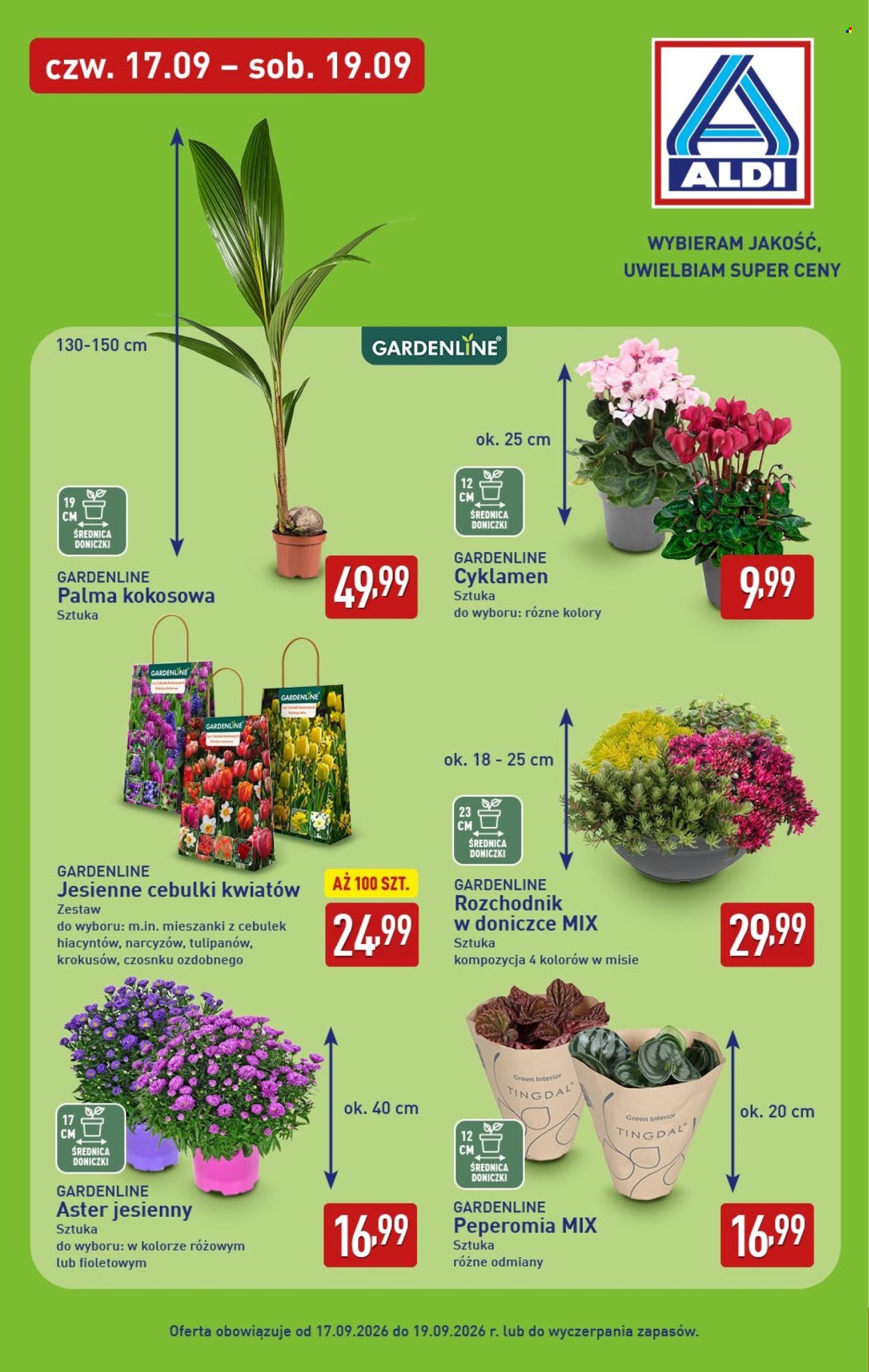 Gazetka ALDI - 17.09.2026 - 19.09.2026. Strona 9