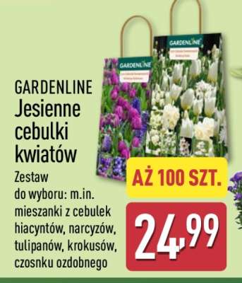 GARDENLINE Jesienne cebulki kwiatów