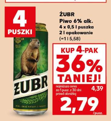 Żubr