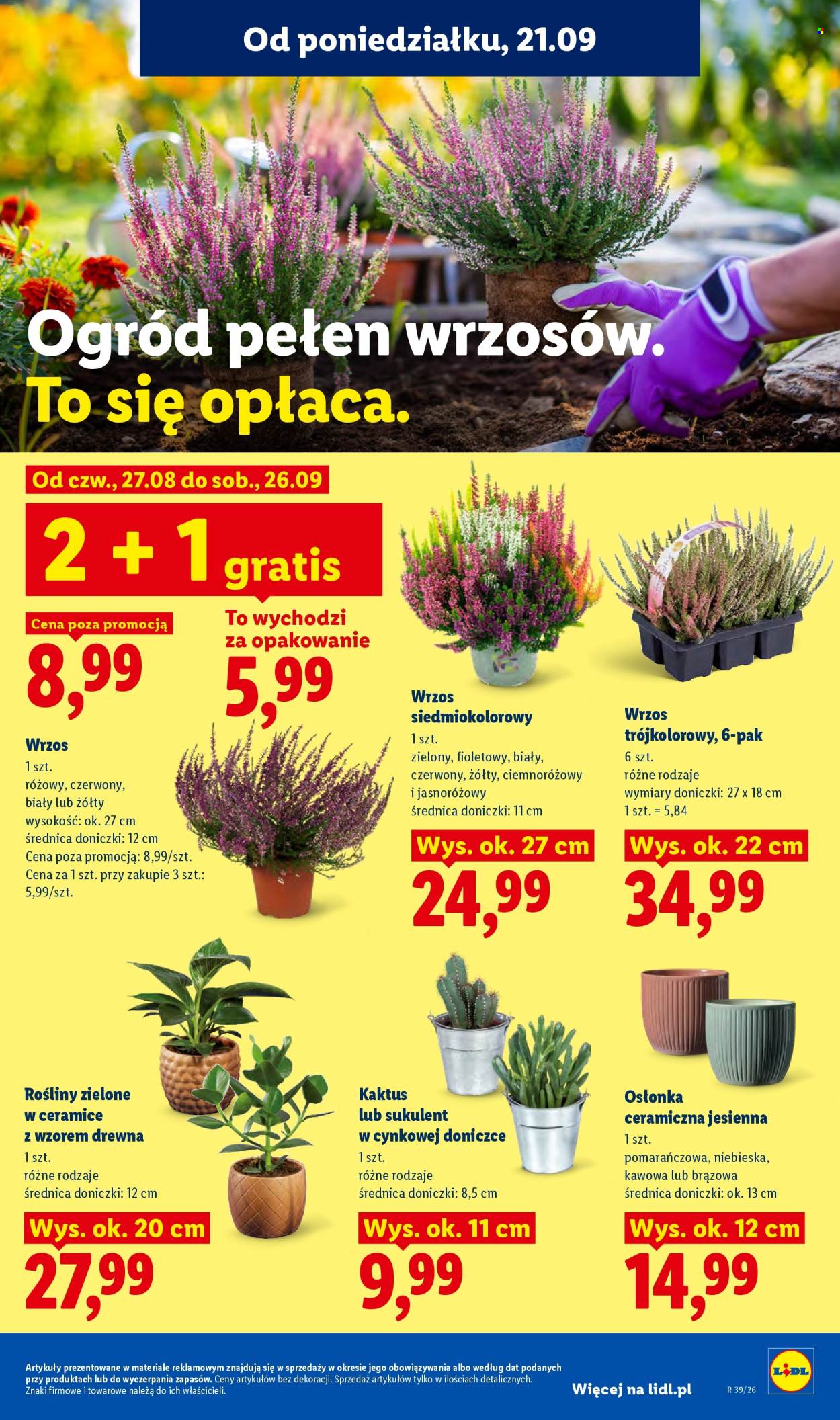 Gazetka Lidl - 21.09.2026 - 23.09.2026. Strona 91