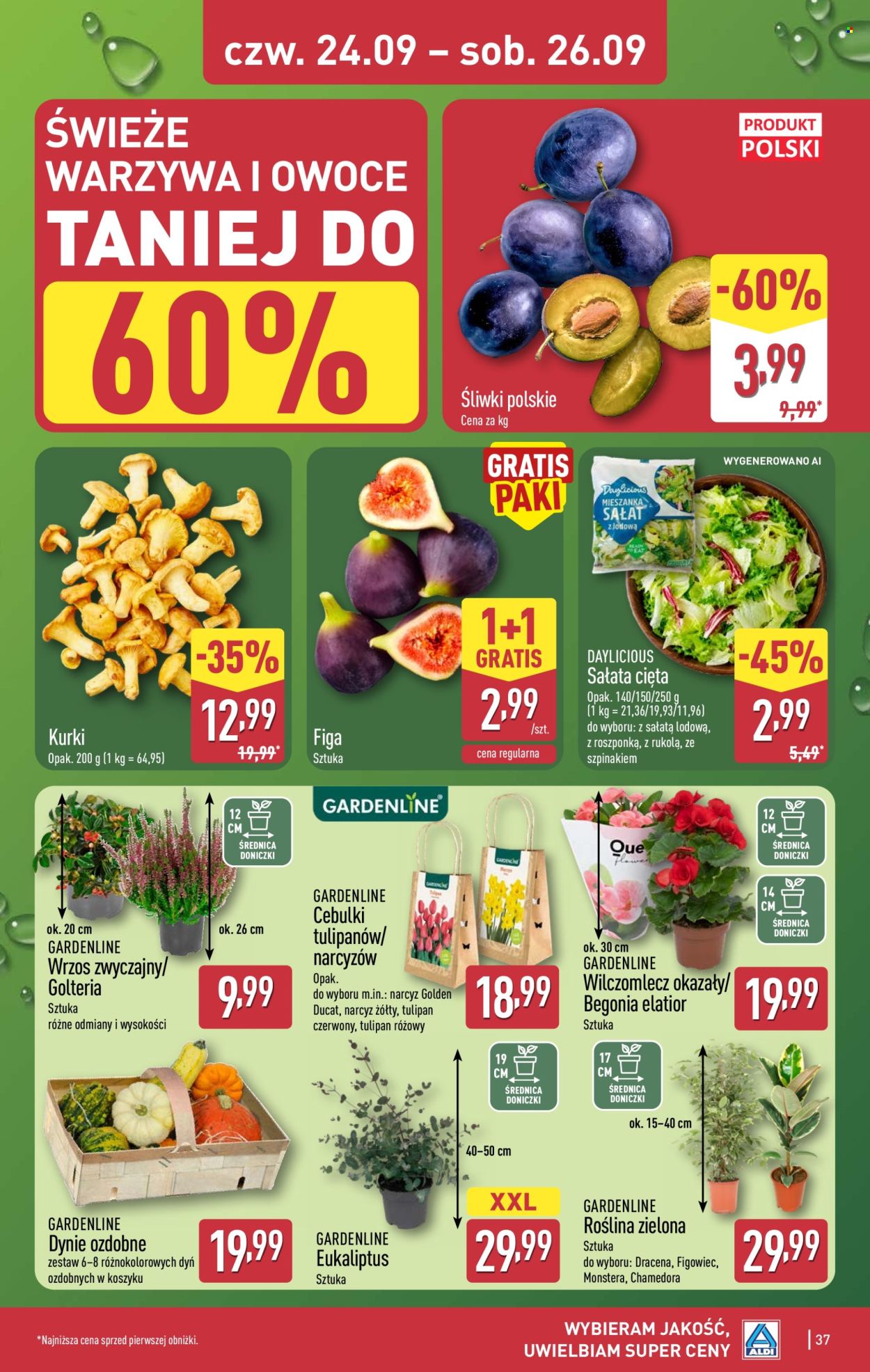 Gazetka ALDI - 21.09.2026 - 26.09.2026. Strona 37