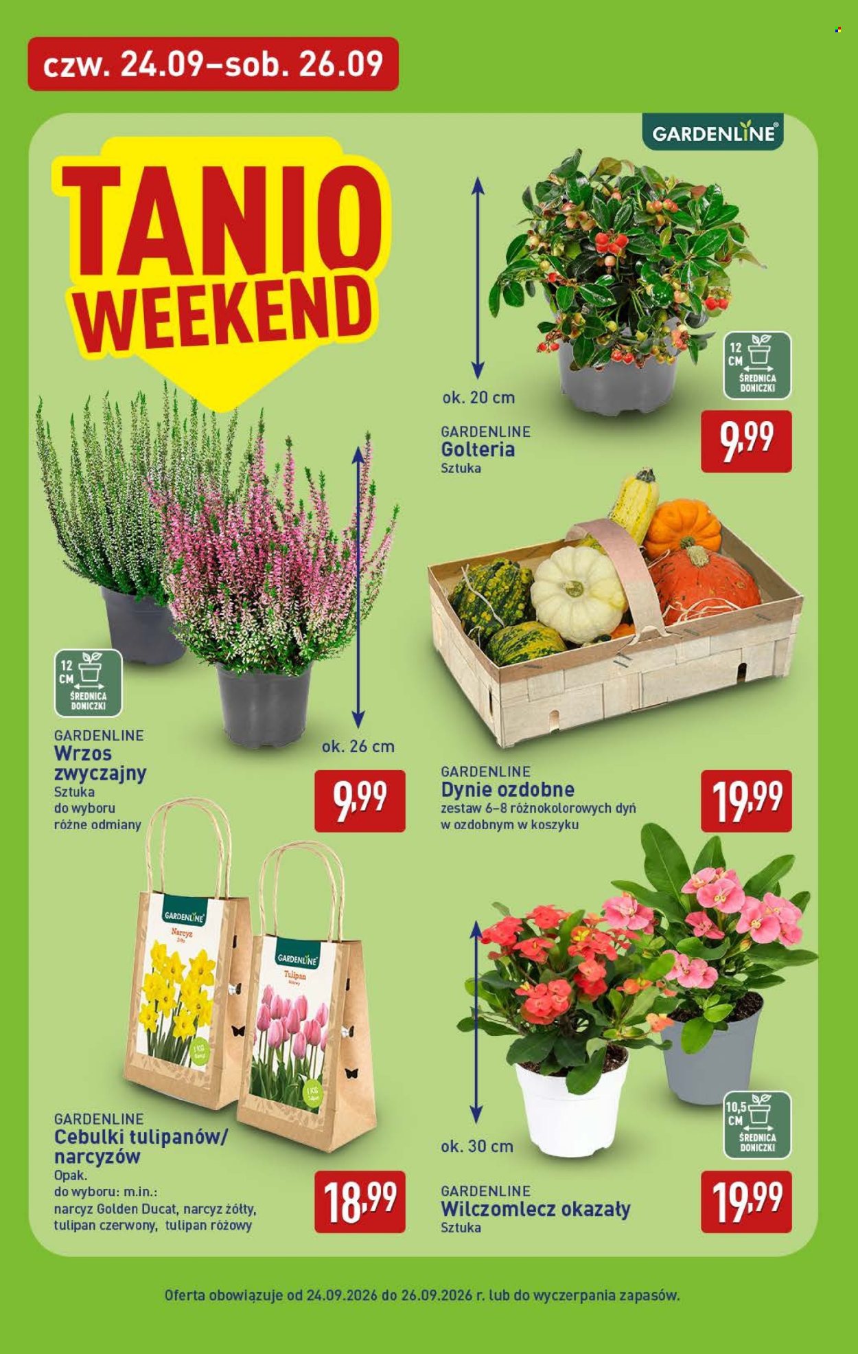 Gazetka ALDI - 21.09.2026 - 26.09.2026. Strona 38