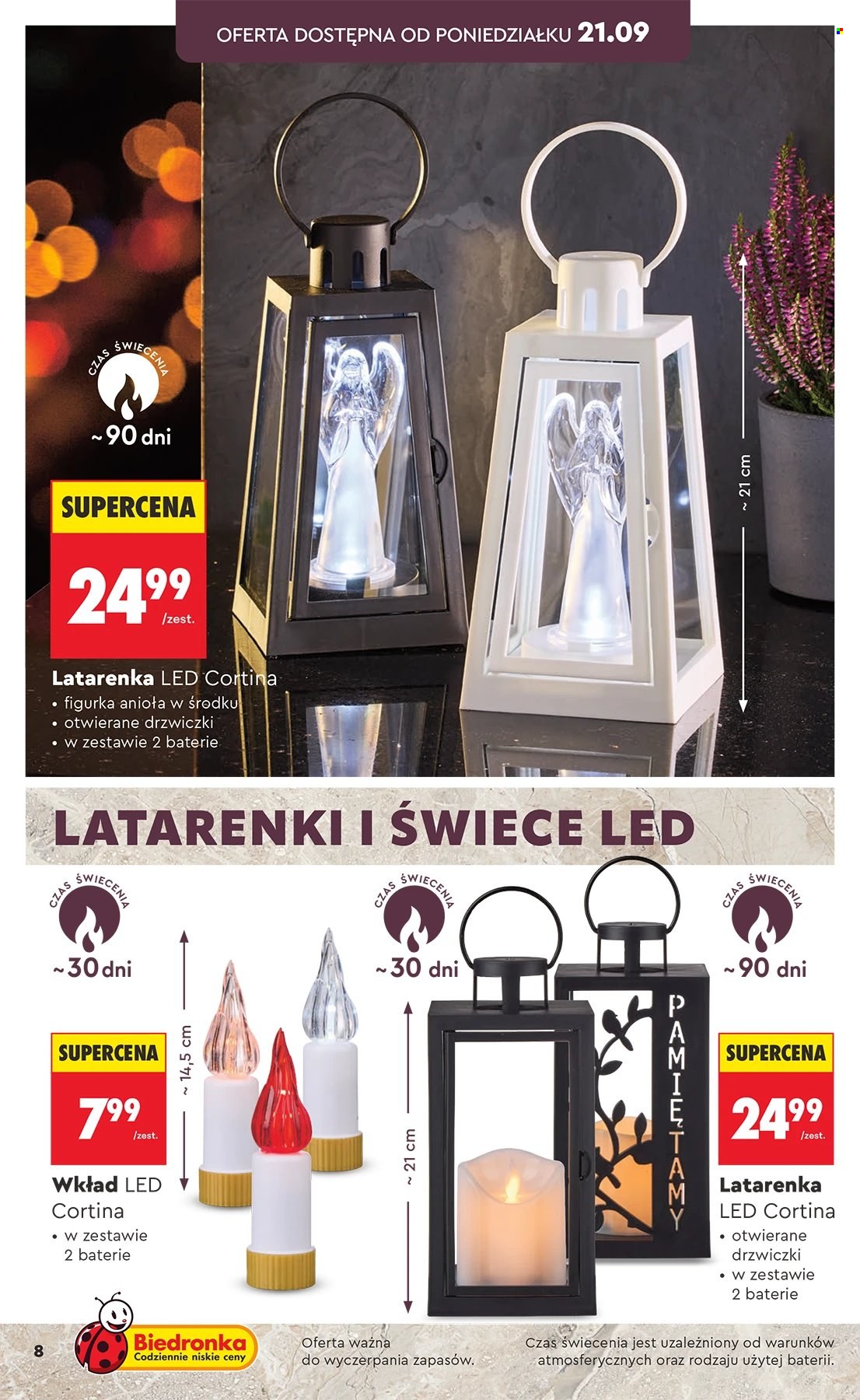 Gazetka Biedronka. Strona 8