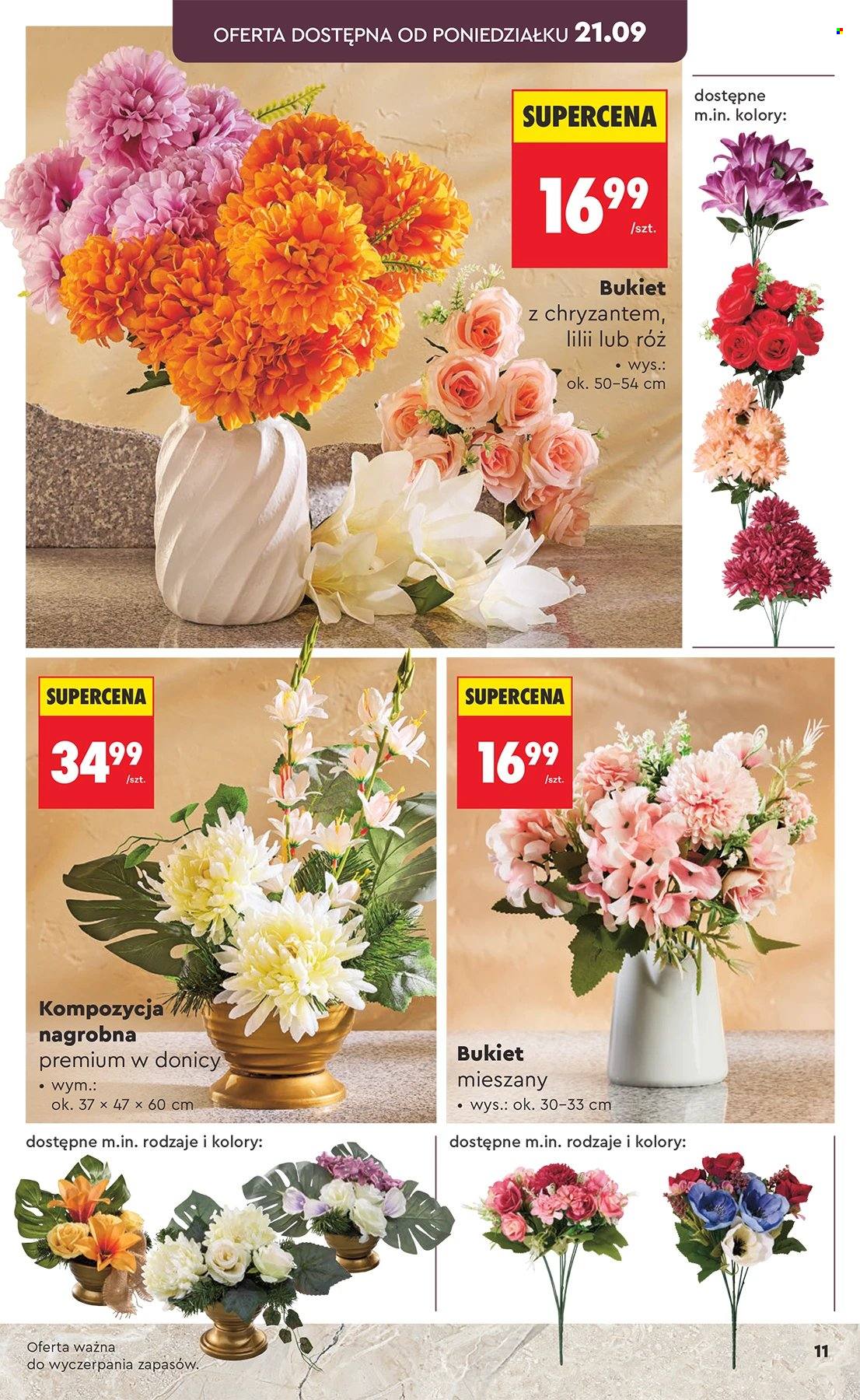Gazetka Biedronka. Strona 11