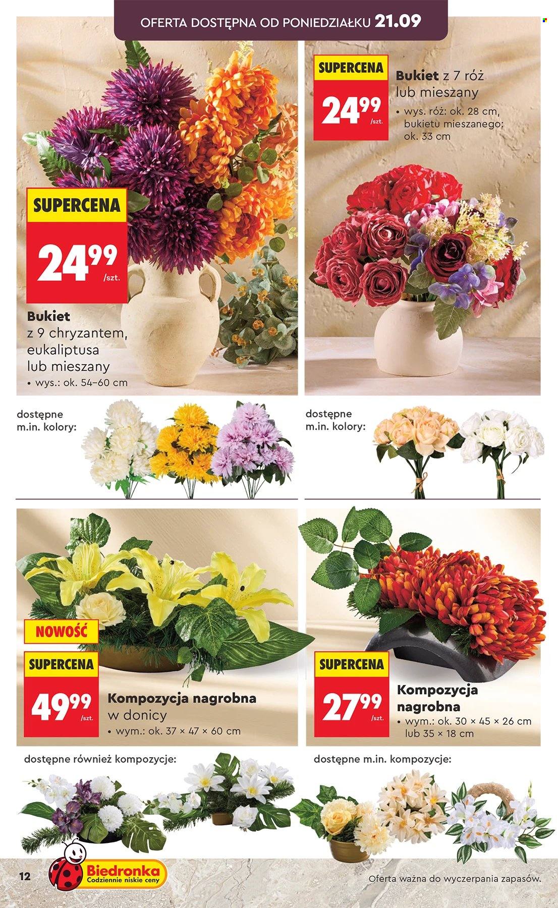 Gazetka Biedronka. Strona 12