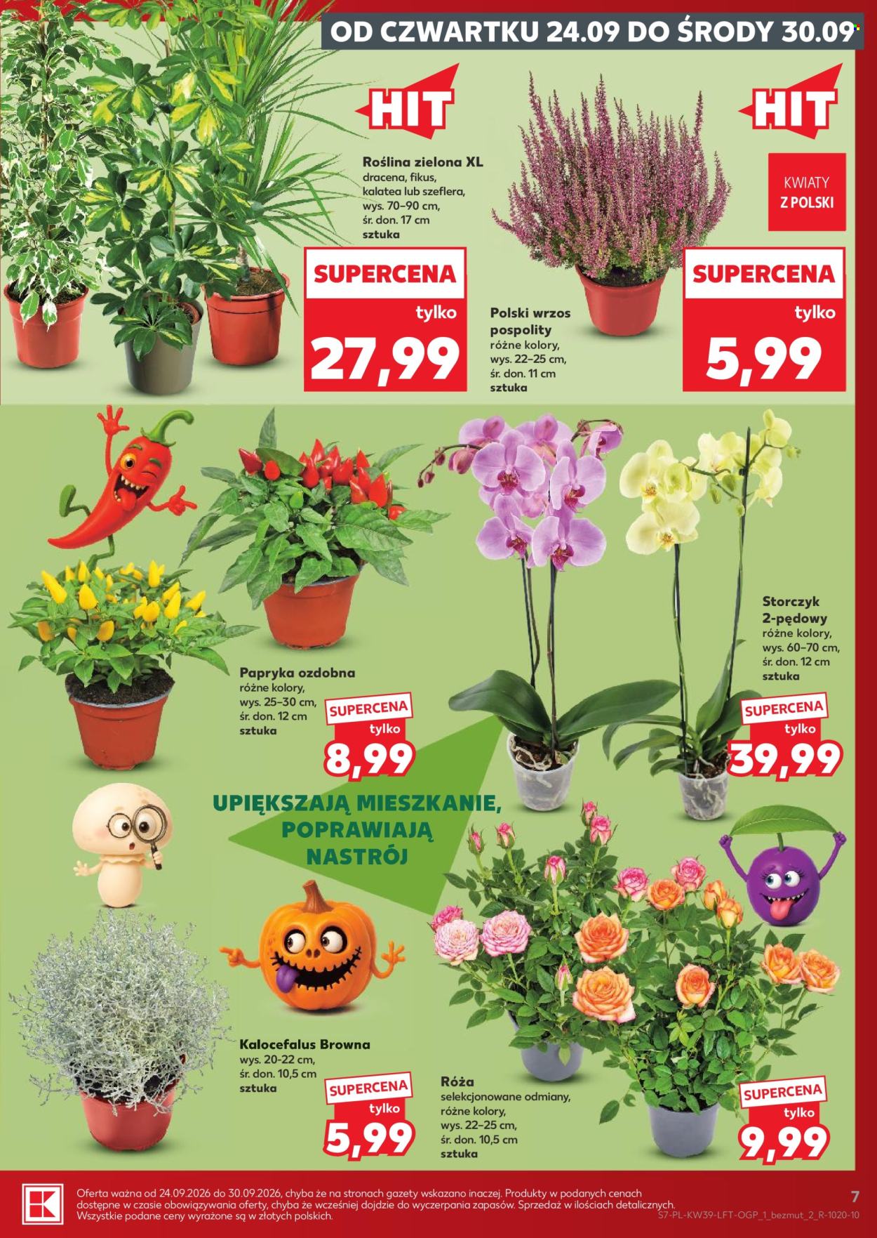Gazetka Kaufland - 24.09.2026 - 30.09.2026. Strona 7