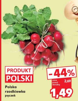 Polska rzodkiewka pęczek