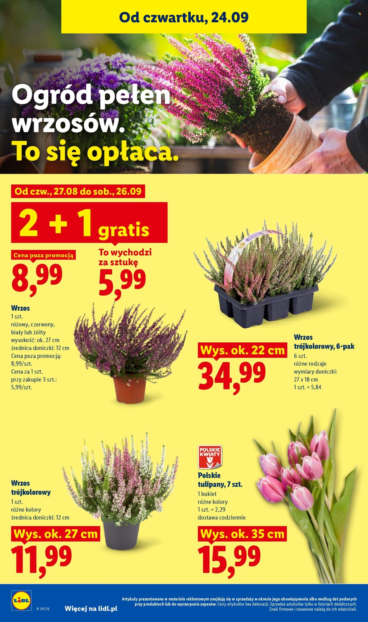 Gazetka Lidl - 24.09.2026 - 26.09.2026. Strona 100