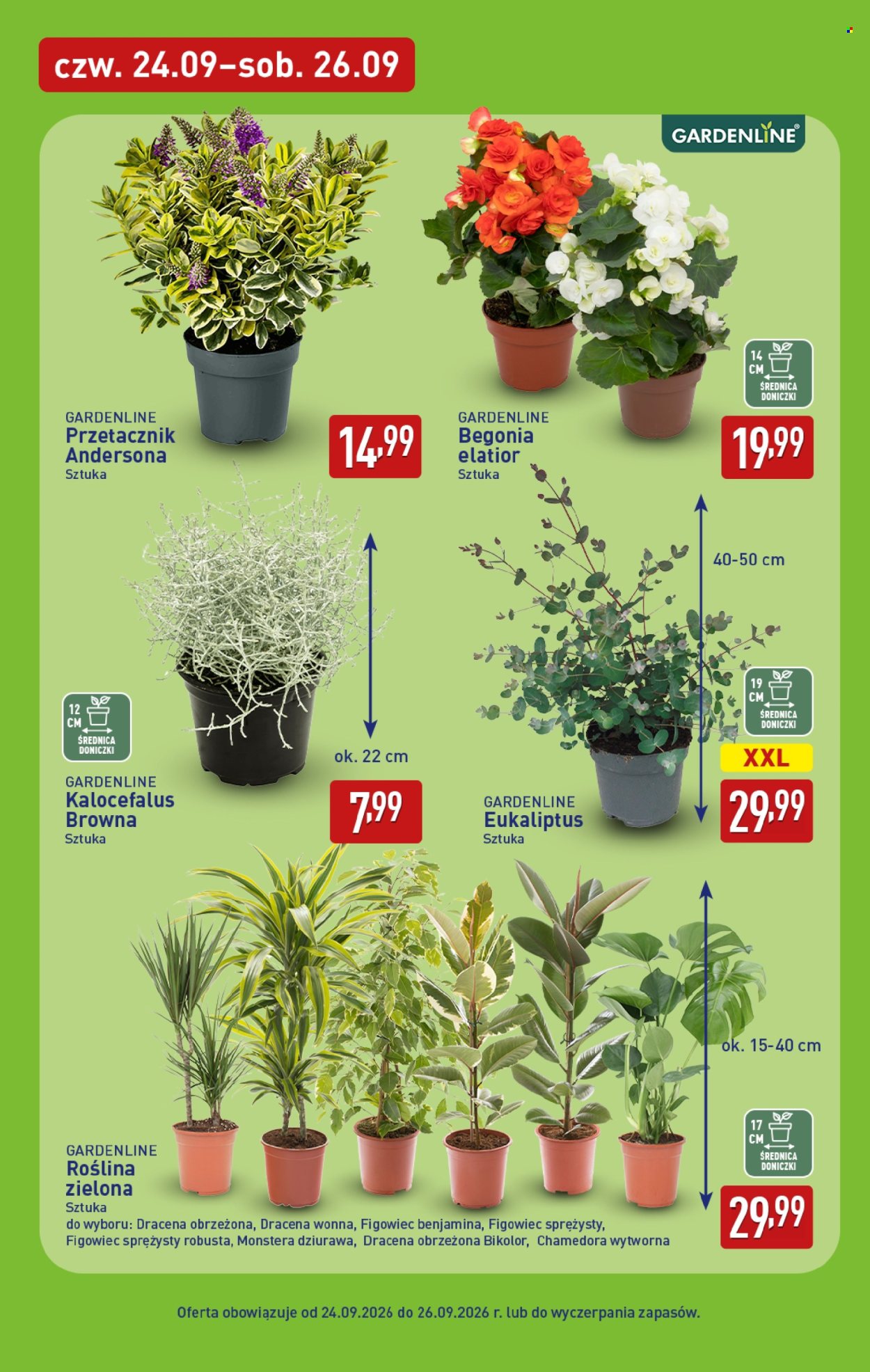 Gazetka ALDI - 24.09.2026 - 26.09.2026. Strona 7
