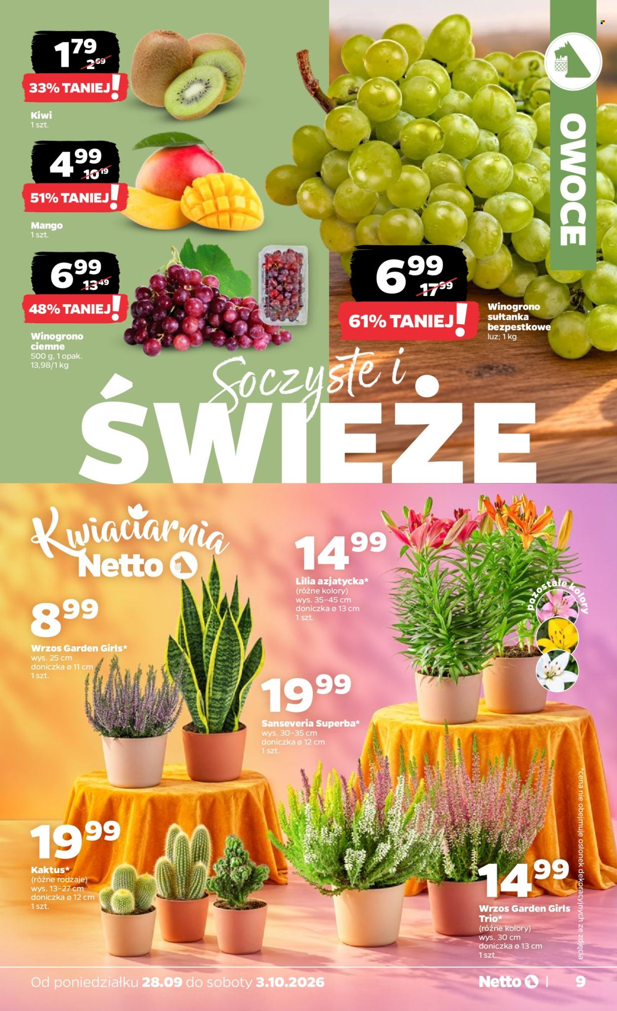 Gazetka Netto - 28.09.2026 - 3.10.2026. Strona 9