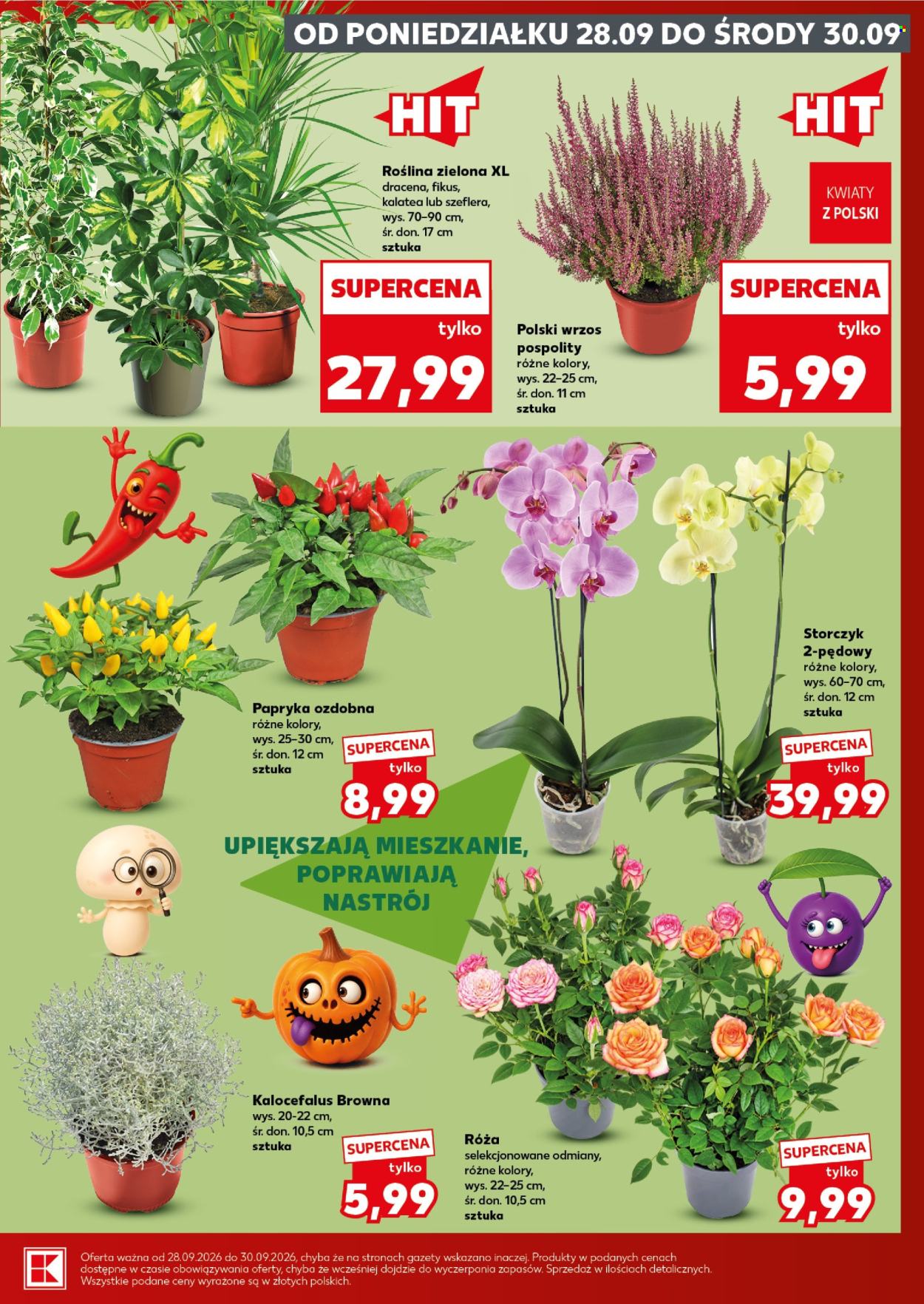 Gazetka Kaufland - 28.09.2026 - 30.09.2026. Strona 5