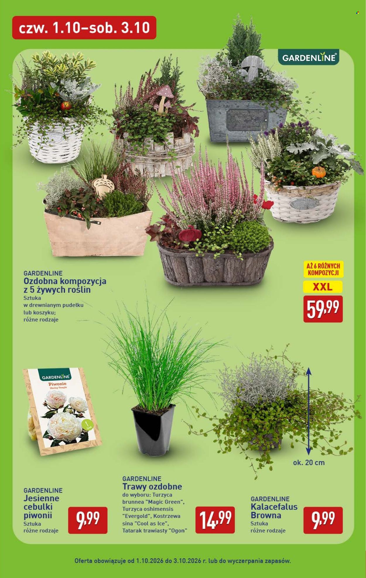 Gazetka ALDI - 28.09.2026 - 3.10.2026. Strona 43