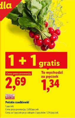 Polskie rzodkiewki
