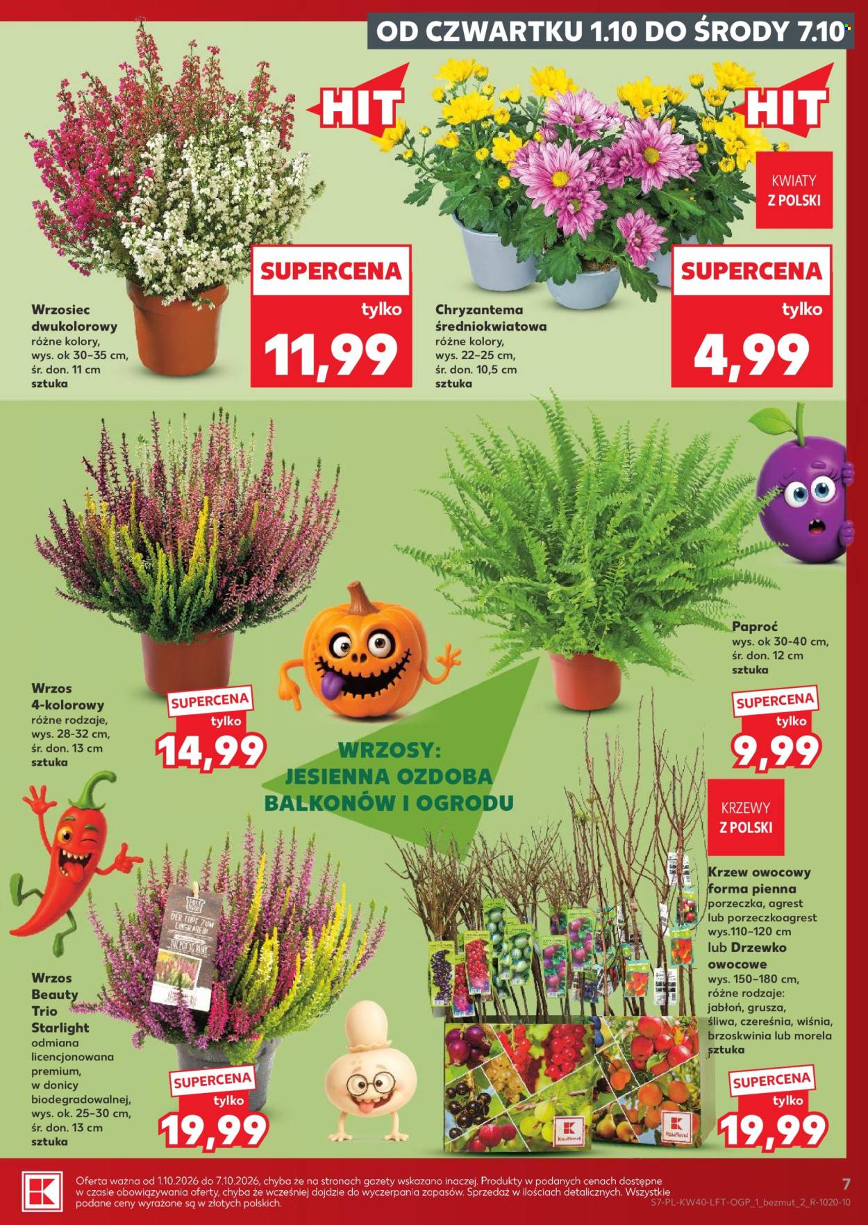 Gazetka Kaufland - 1.10.2026 - 7.10.2026. Strona 7