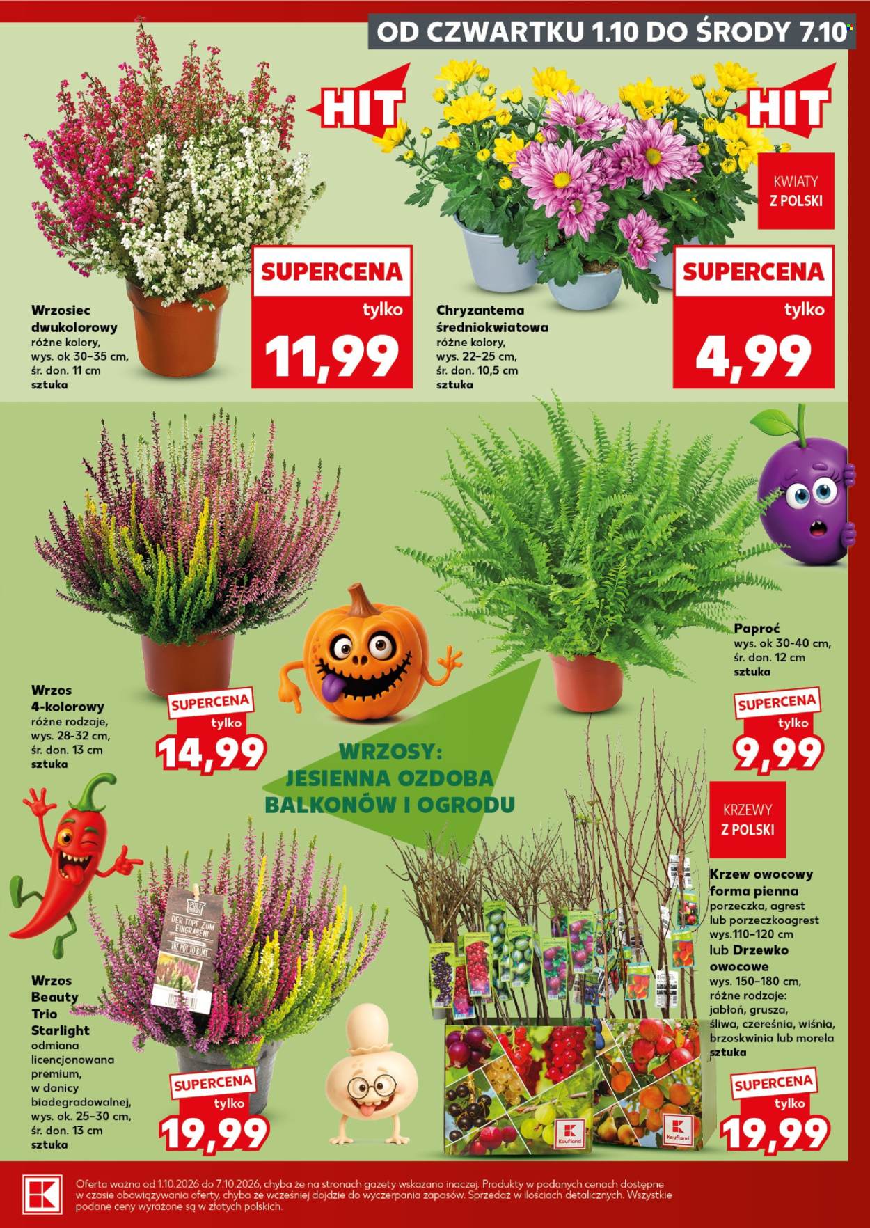 Gazetka Kaufland - 1.10.2026 - 7.10.2026. Strona 7