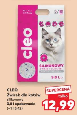 CLEO