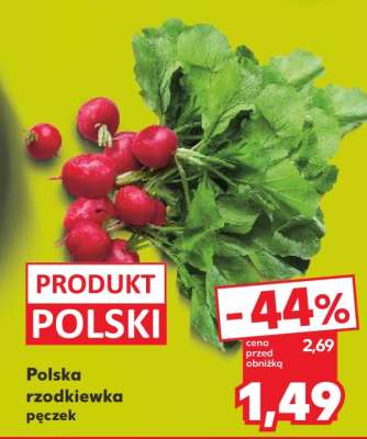 Polska rzodkiewka pęczek