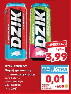 DZIK ENERGY