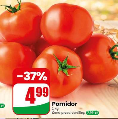 Pomidor