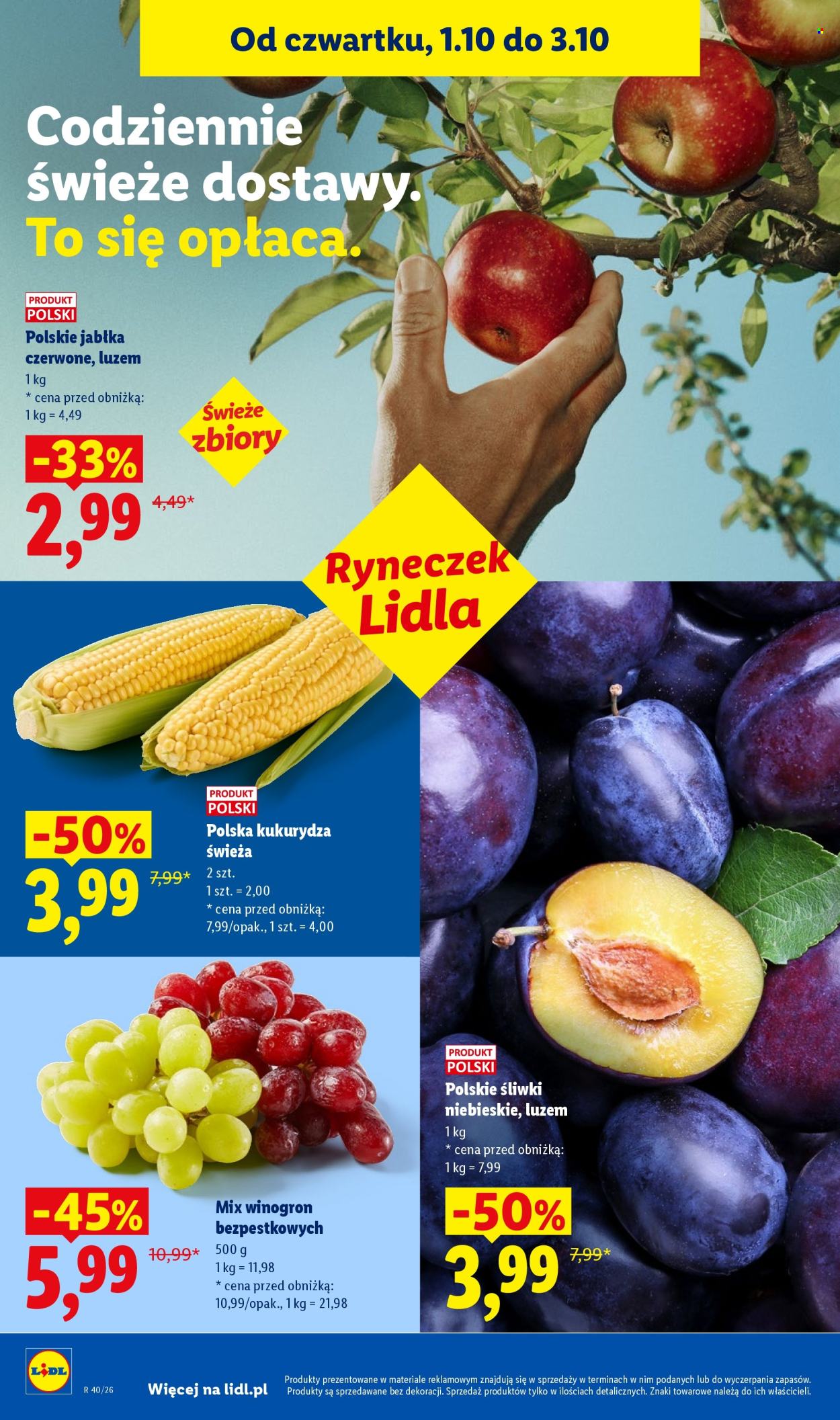 Gazetka Lidl - 1.10.2026 - 3.10.2026. Strona 48