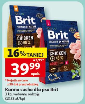 Karma sucha dla psa Brit