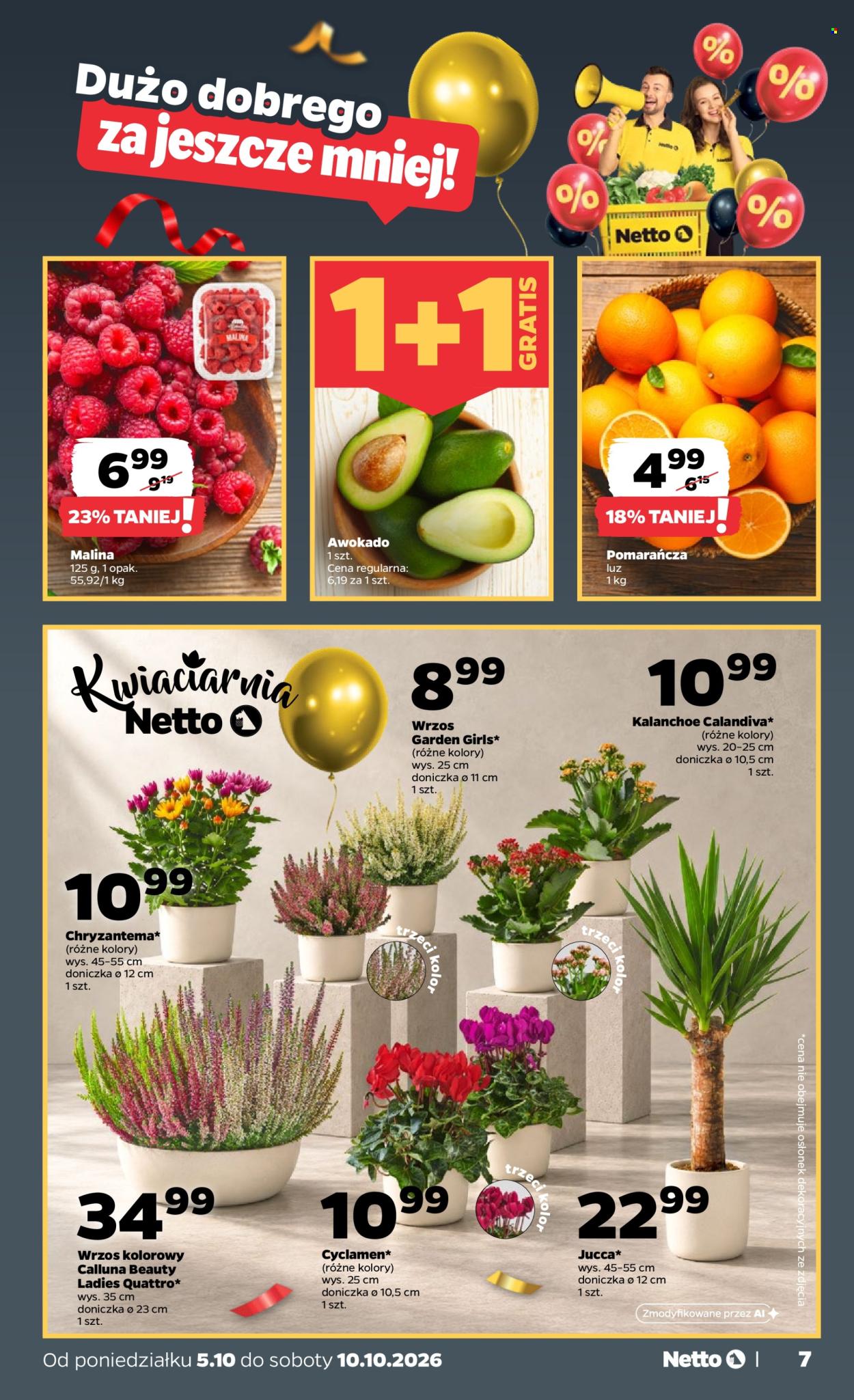 Gazetka Netto - 5.10.2026 - 10.10.2026. Strona 7