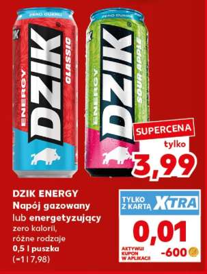 DZIK ENERGY