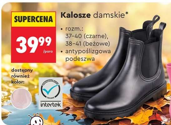 Kalosze damskie