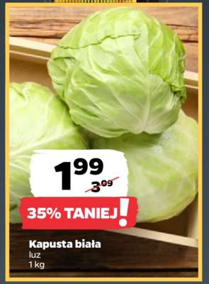 Kapusta biała