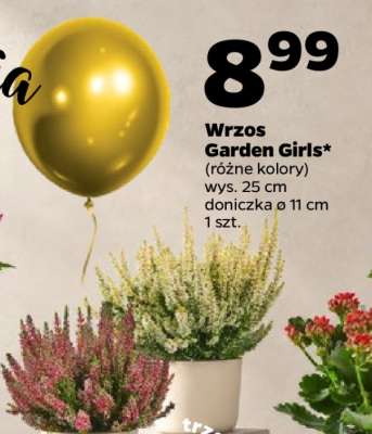 Wrzos Garden Girls