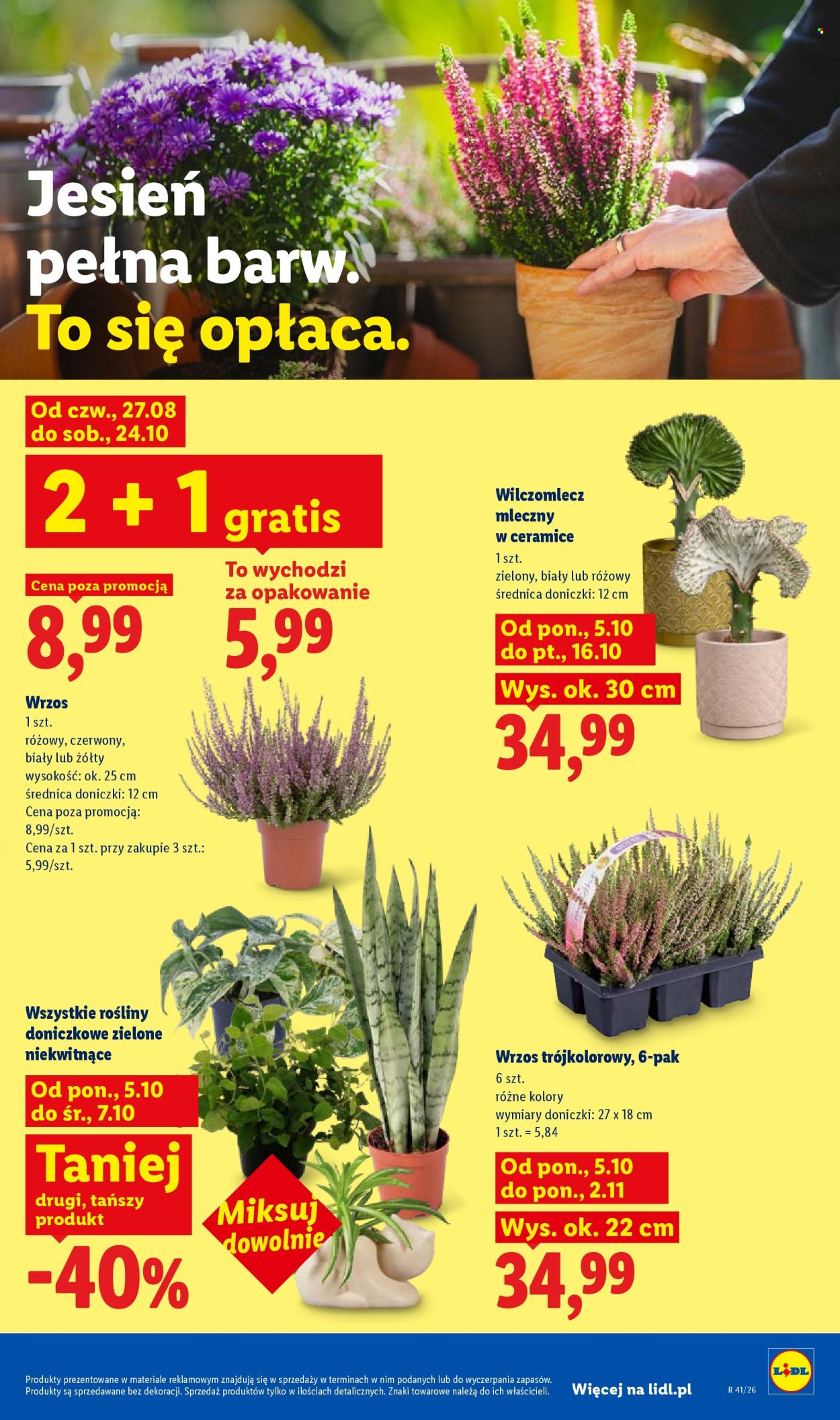 Gazetka Lidl - 5.10.2026 - 10.10.2026. Strona 89