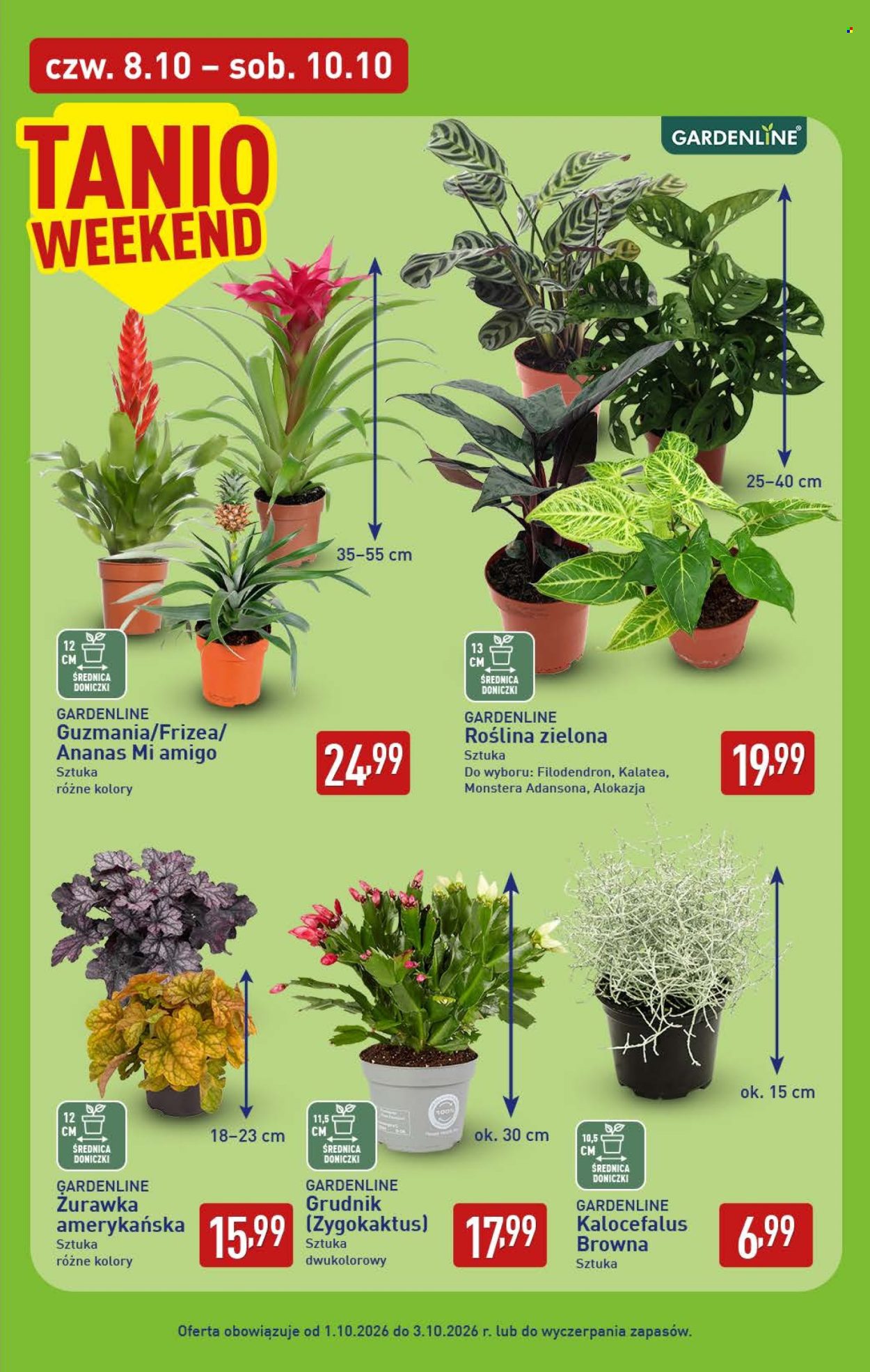 Gazetka ALDI - 5.10.2026 - 10.10.2026. Strona 39