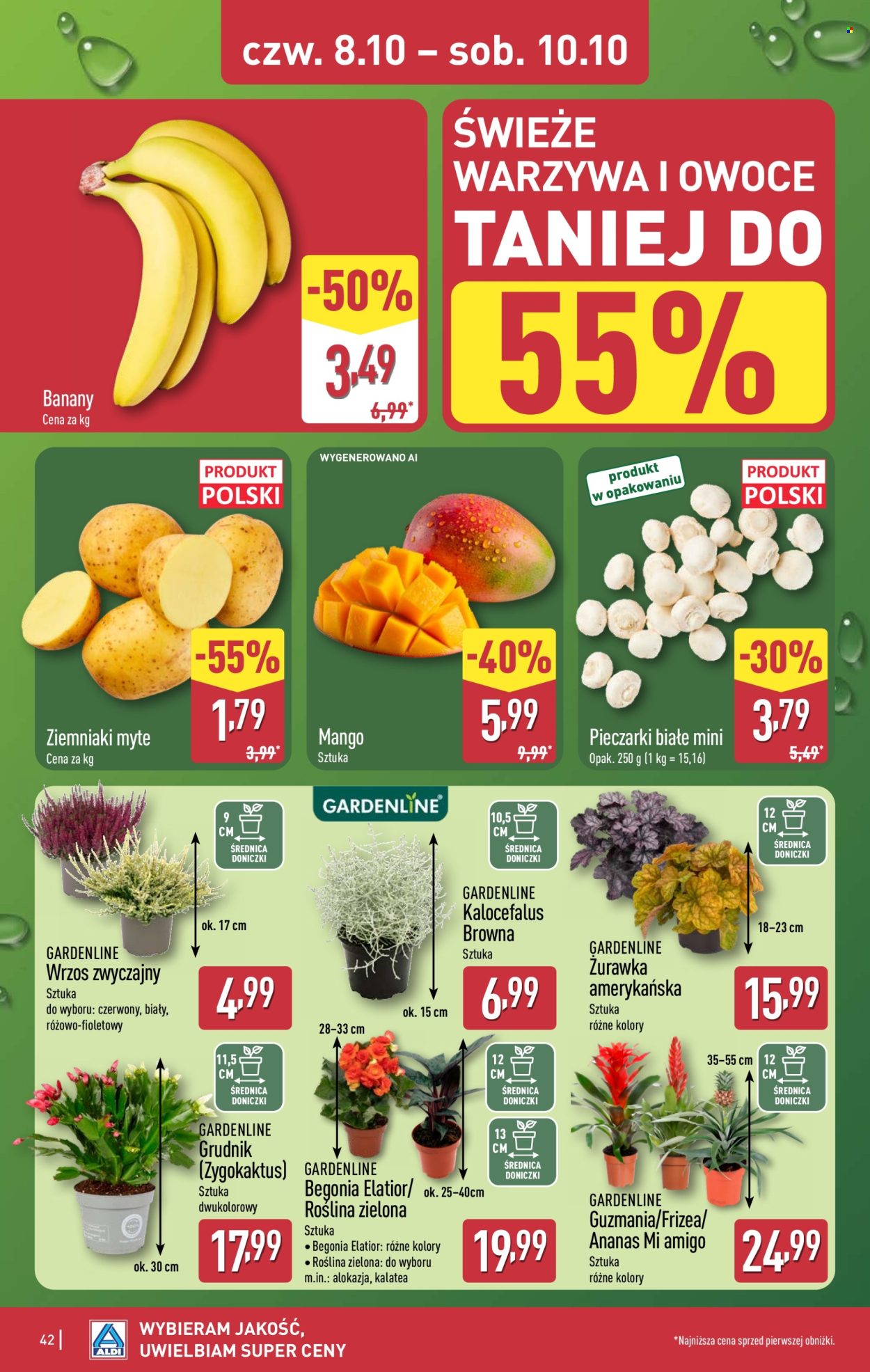 Gazetka ALDI - 5.10.2026 - 10.10.2026. Strona 42
