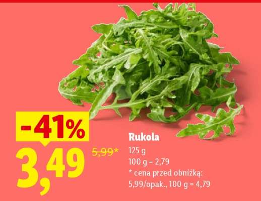 Rukola