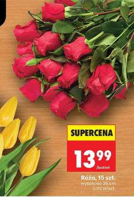 Róźa 15 szt