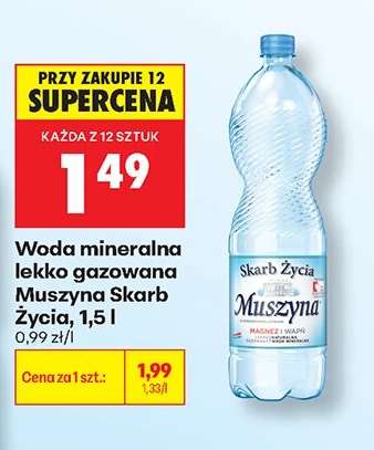 Woda mineralna lekko gazowana Muszyna Skarb Życia, 1,5 l