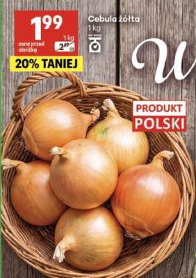 Cebula żółta