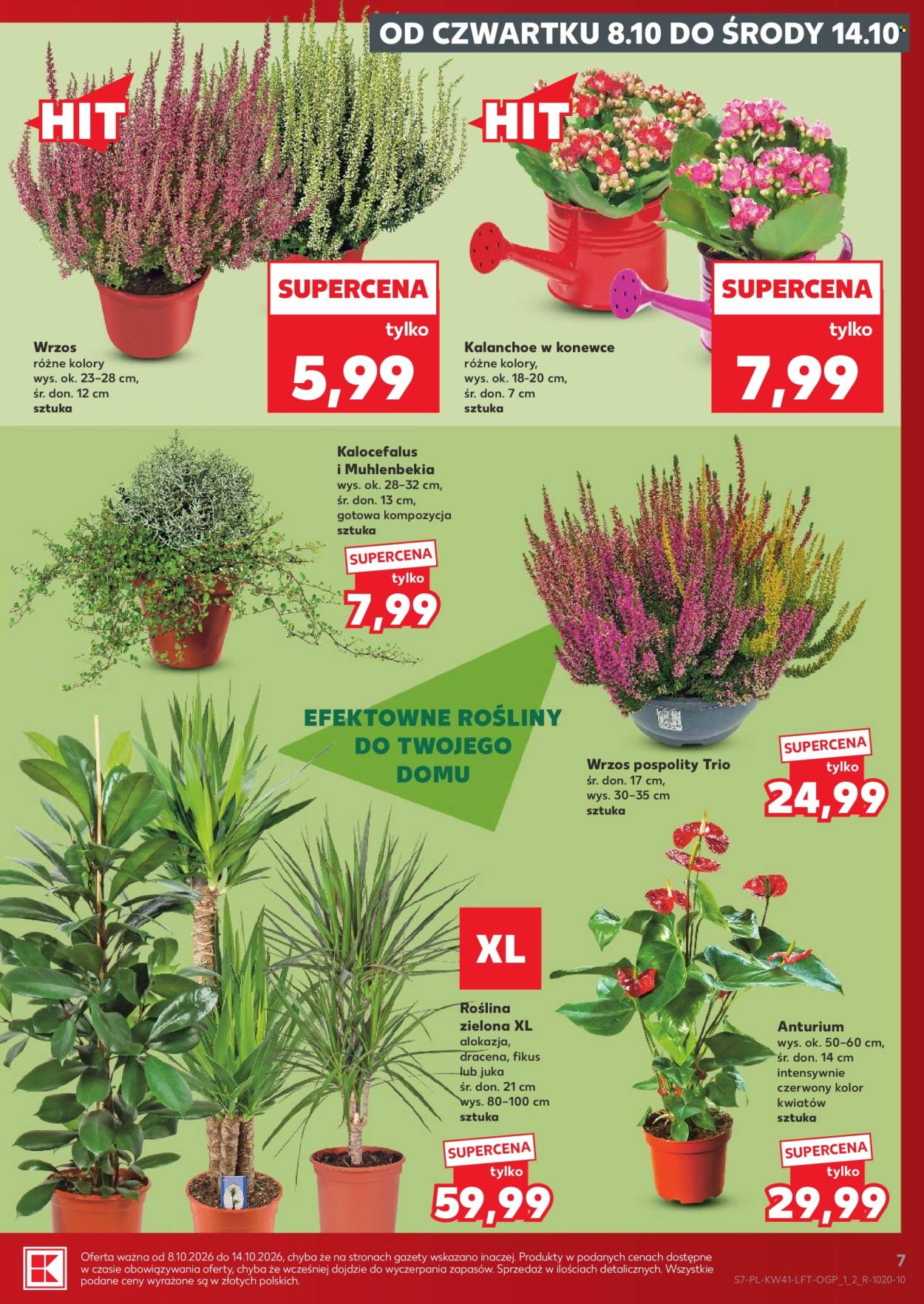 Leták Kaufland - 8.10.2026 - 14.10.2026. Strana 7