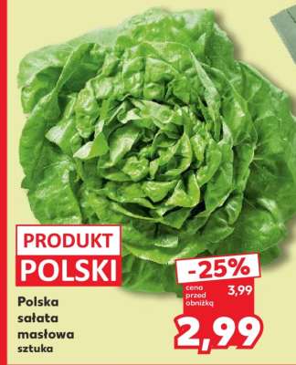 Polska sałata masłowa sztuka