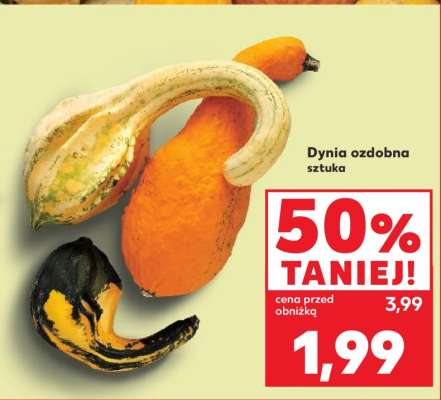 Dynia ozdobna sztuka