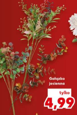 Gałązka jesienna