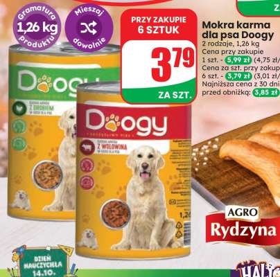 Mokra karma dla psa Doogy