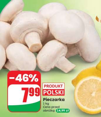 Pieczarka
