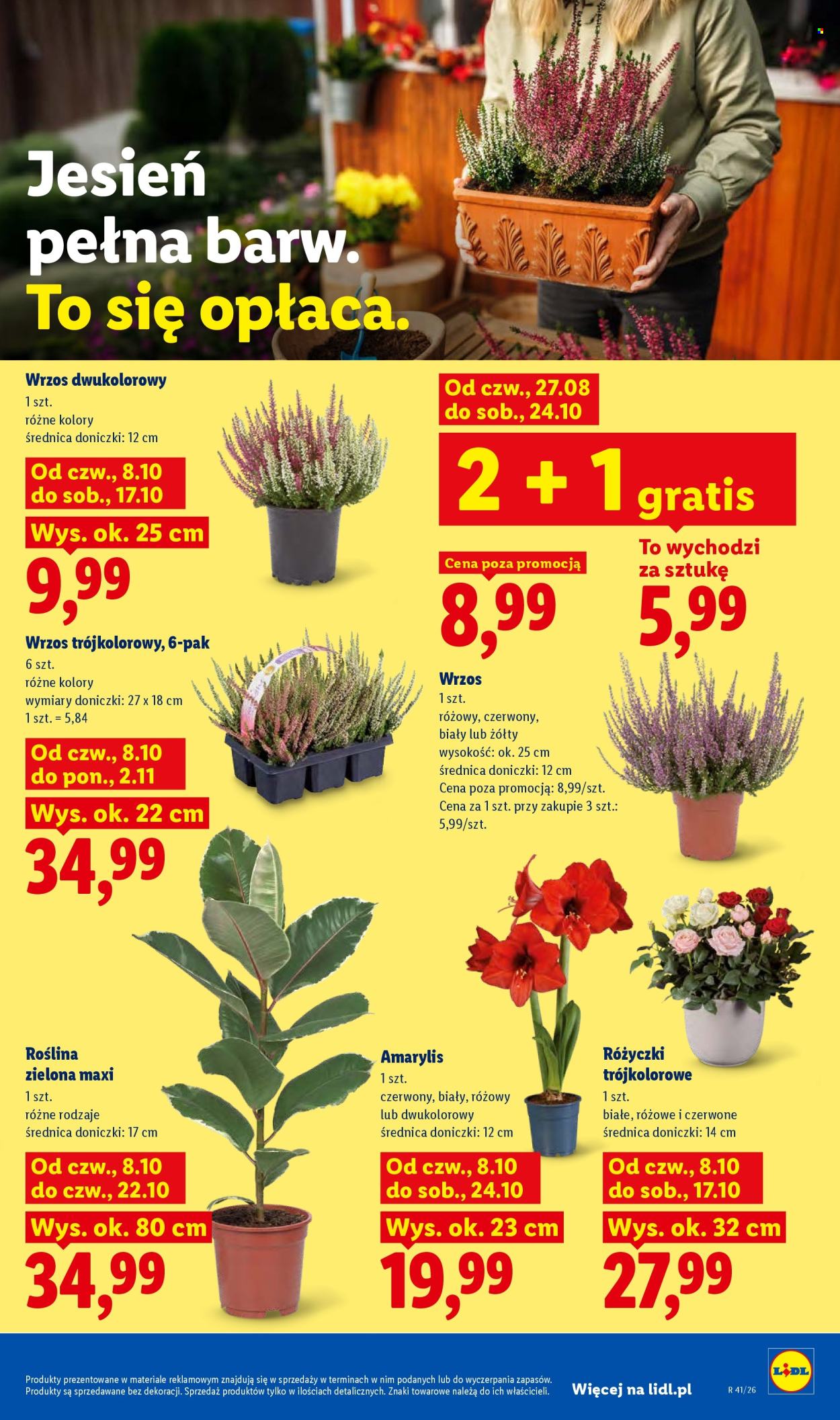 Gazetka Lidl - 8.10.2026 - 10.10.2026. Strona 85