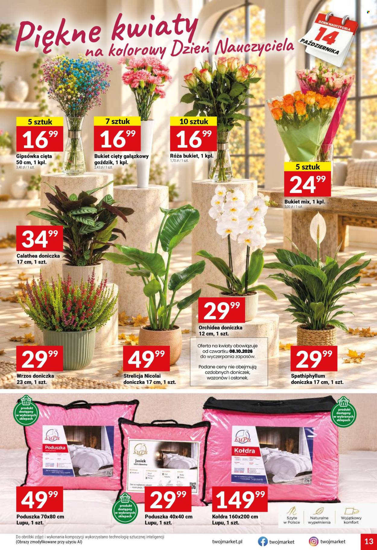 Gazetka Twój Market - 7.10.2026 - 13.10.2026. Strona 13