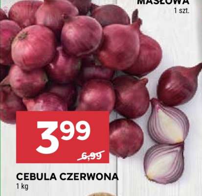 Cebula czerwona
