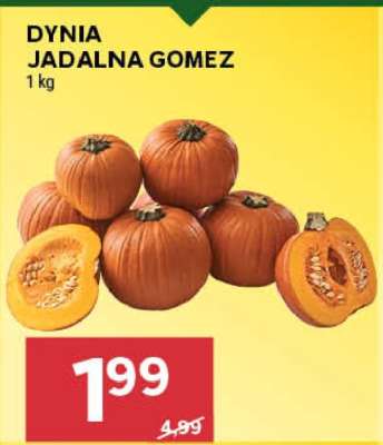 DYNIA JADALNA GOMEZ