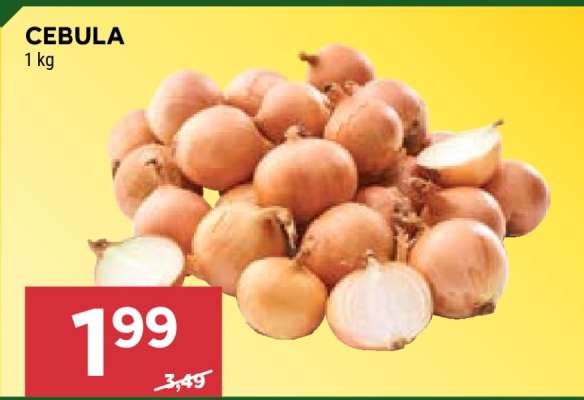 Cebula